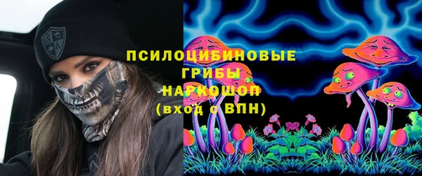 крисы Россошь
